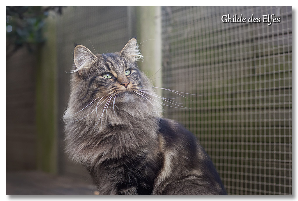 LINDSAY77.jpg - 2,5 ans