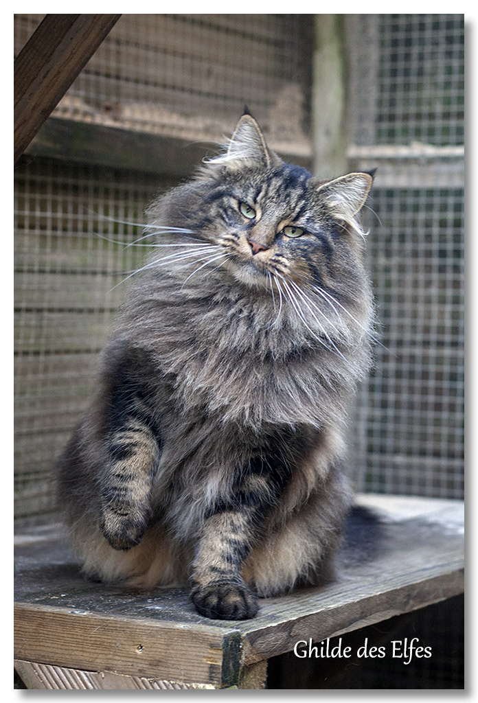 LINDSAY88.jpg - 2,5 ans