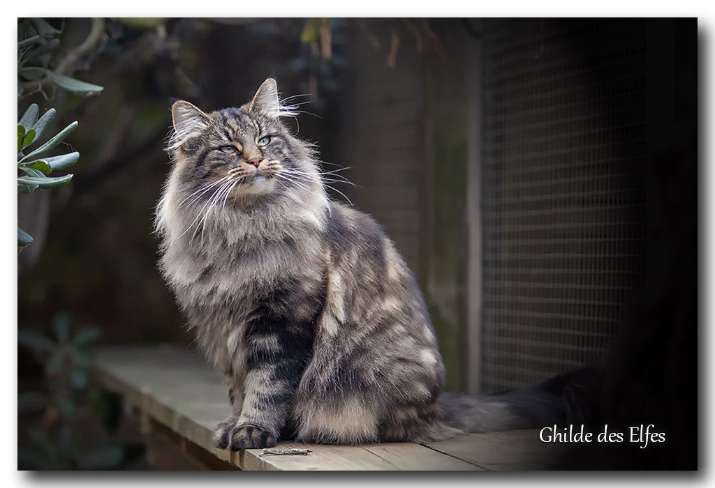 LINDSAY9.jpg - 4 ans