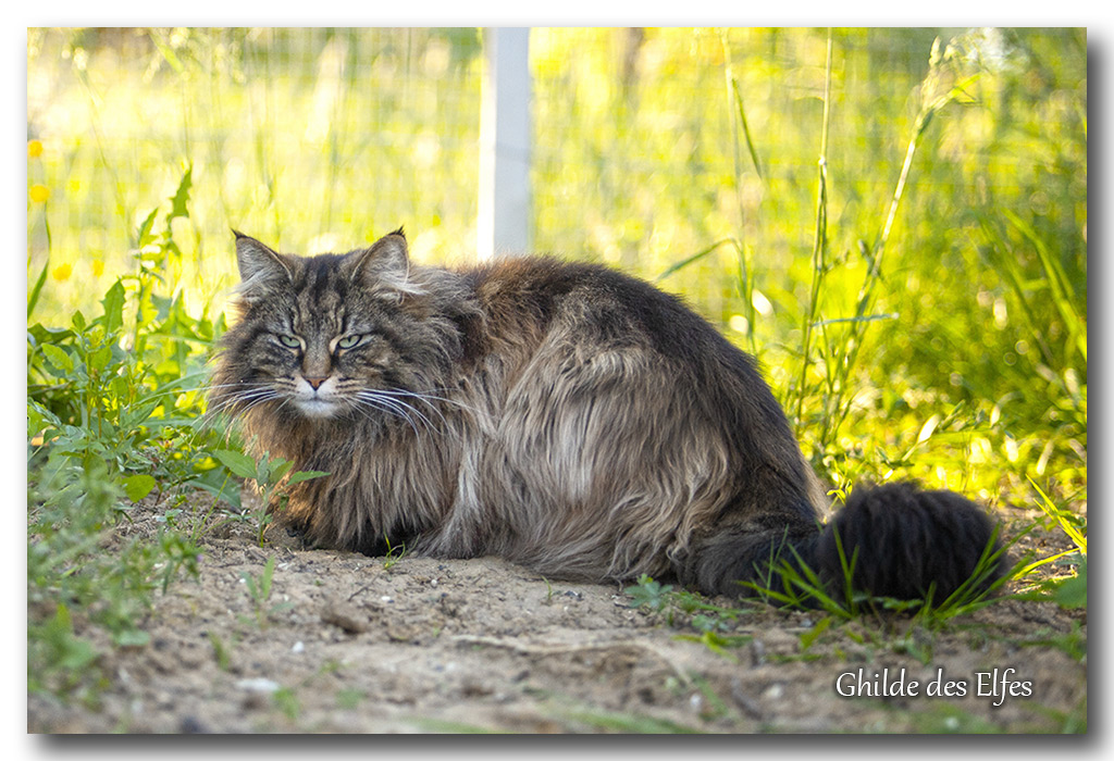 lindsay111.jpg - 5 ans