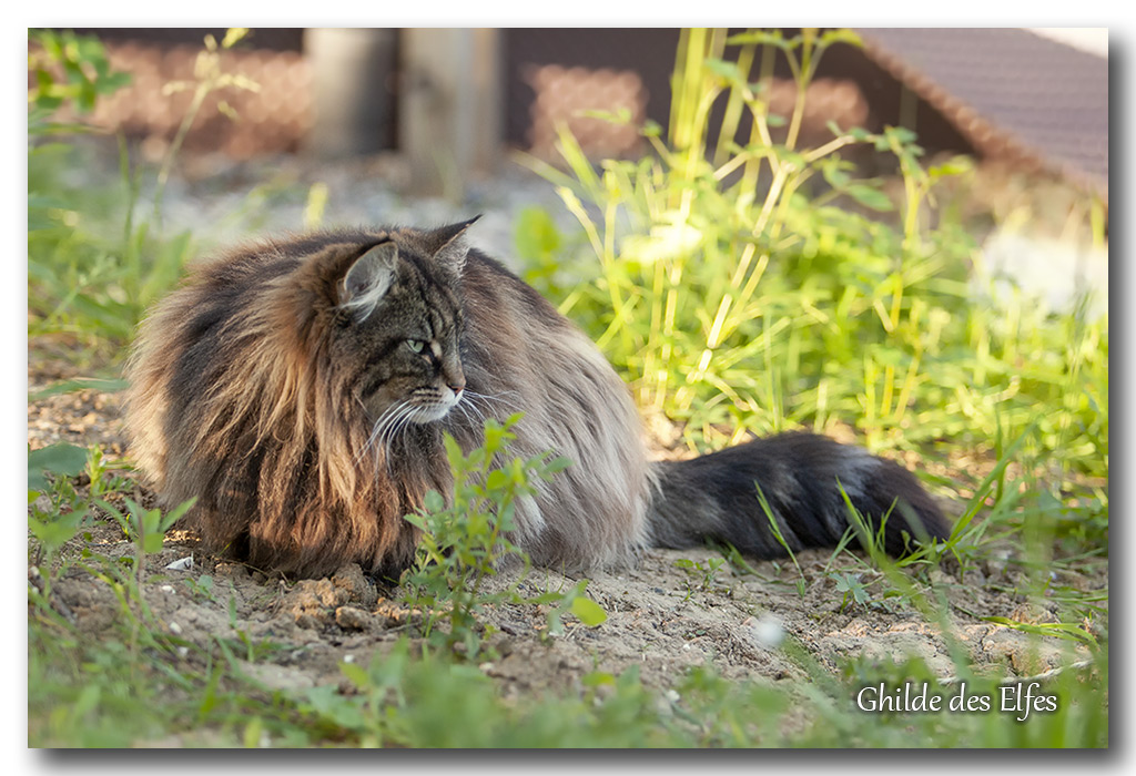 lindsay444.jpg - 5 ans