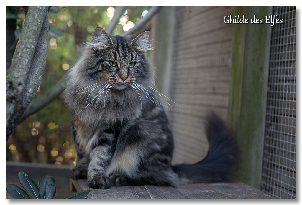 LINDSAY6.jpg - 2 ans
