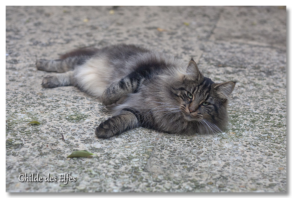 lindsay3.jpg - 2 ans