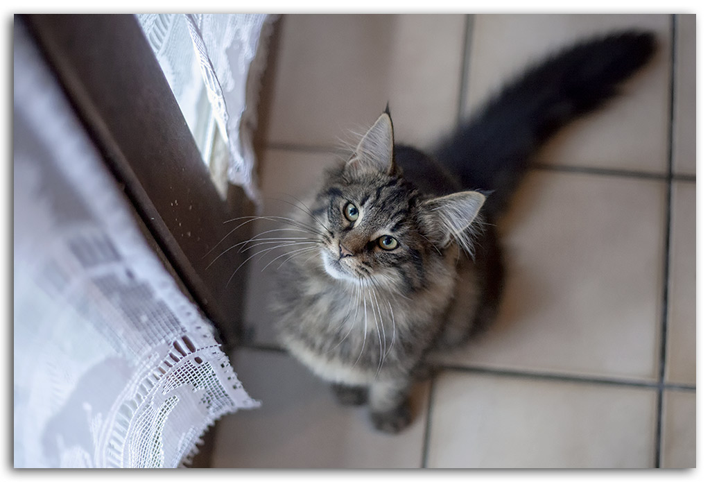 4-mois1.jpg - 4 mois