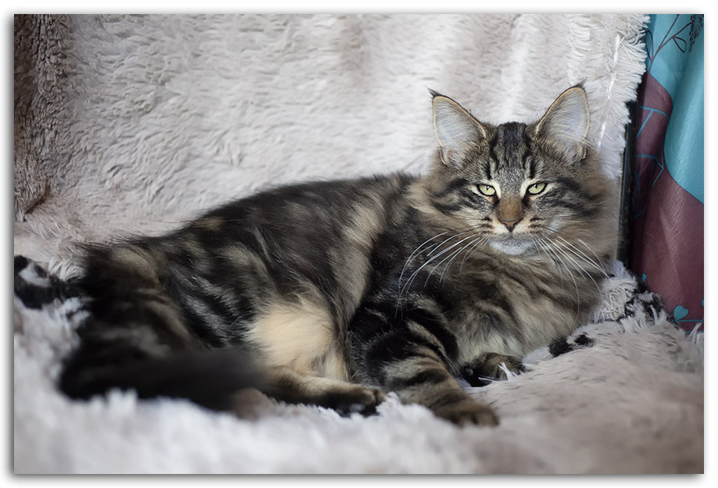 4-mois4.jpg - 4 mois