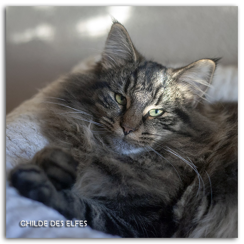 6-mois4.jpg - 6 mois