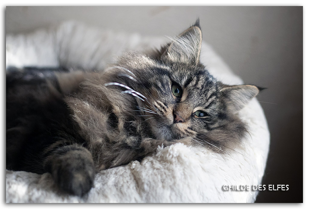 6-mois5.jpg - 6 mois