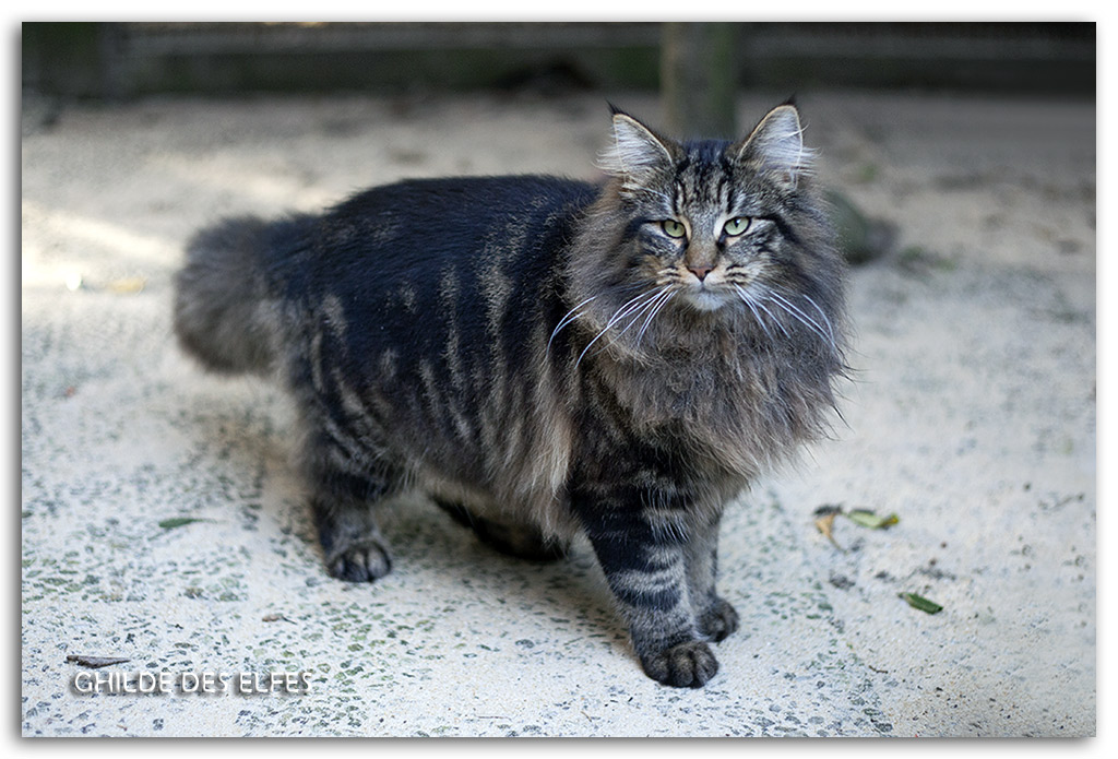7.5-mois4.jpg - 7.5 mois