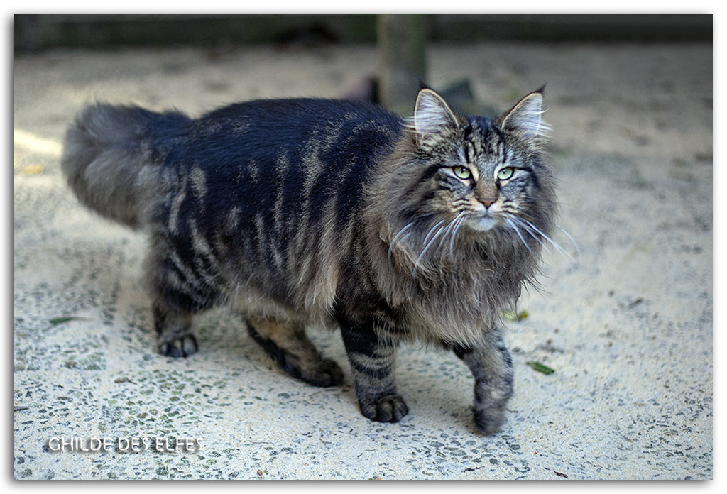 7.5-mois5.jpg - 7.5 mois
