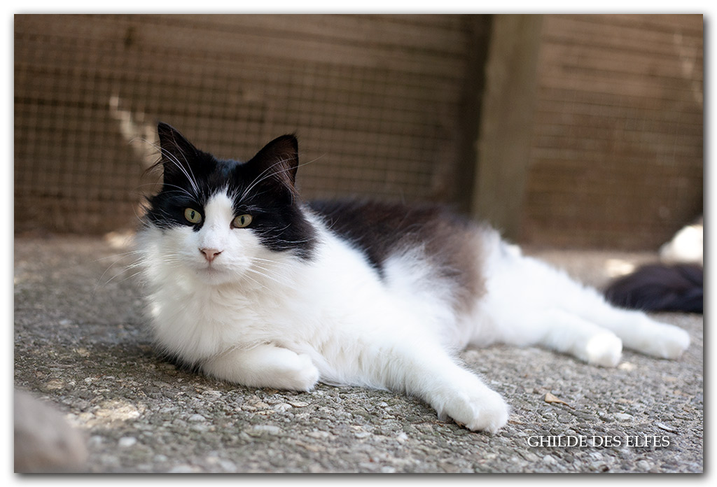 MARAT10.jpg - 2 ans