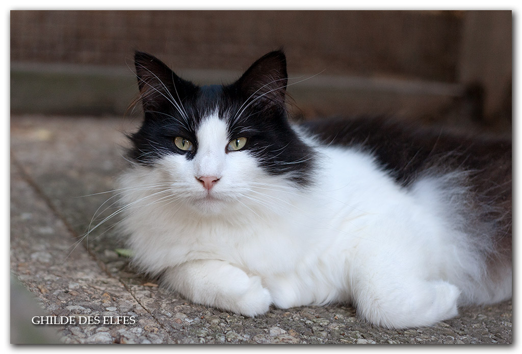 MARAT9.jpg - 2 ans