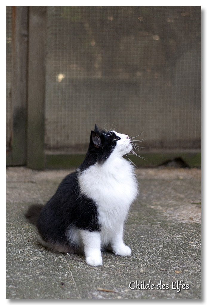 marat13.jpg - 2 ans