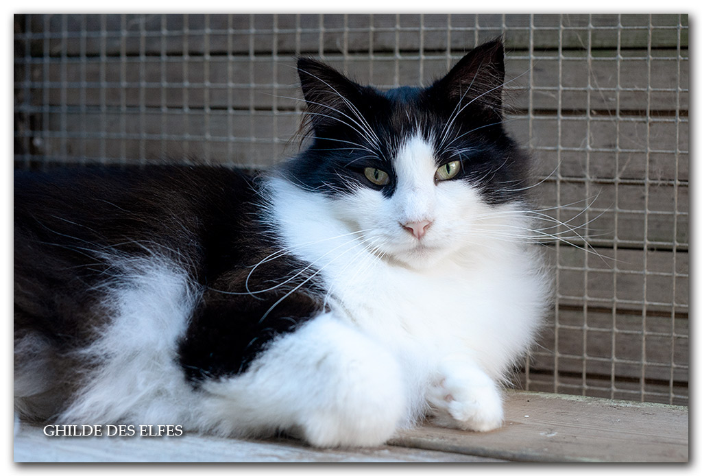 marat4.jpg - 2 ans