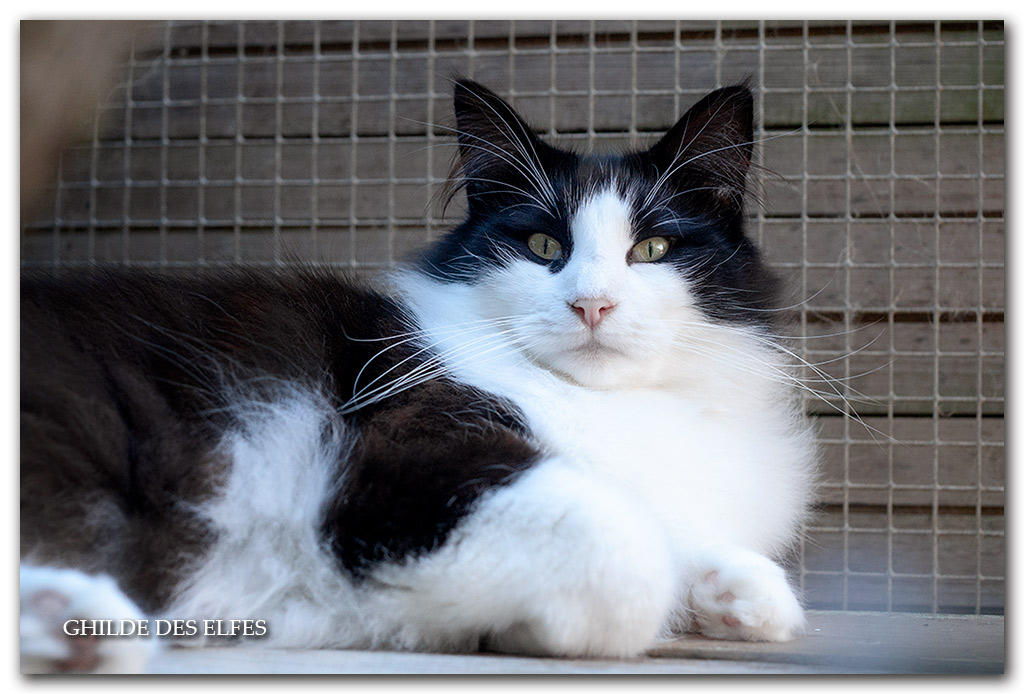 marat5.jpg - 2 ans