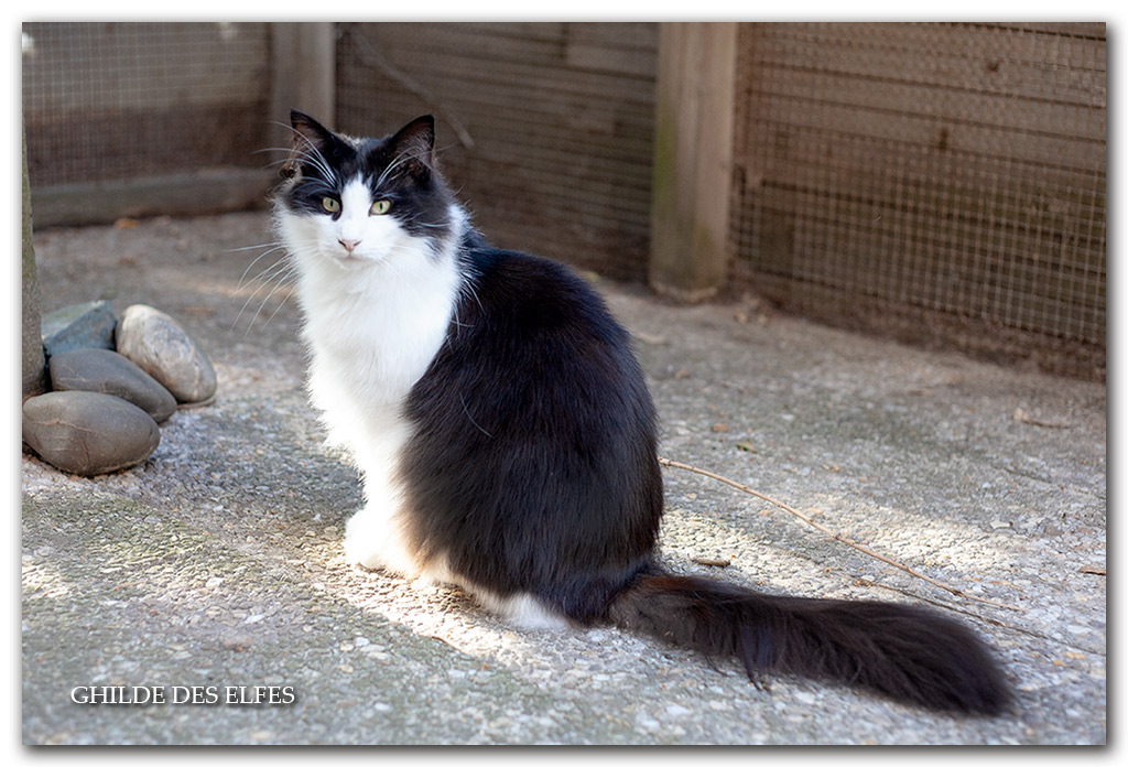marat6.jpg - 2 ans
