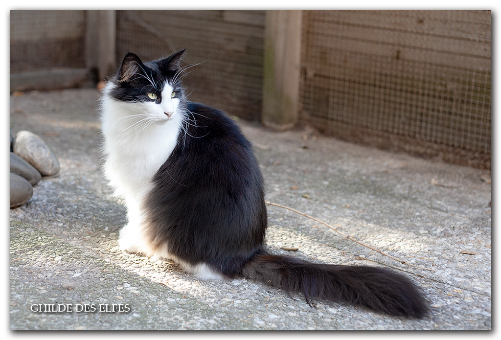 marat8.jpg - 2 ans