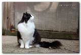 marat_17mois5