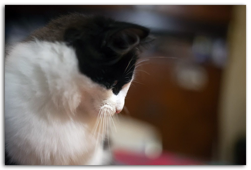 4,5-mois5.jpg - 4.5 mois