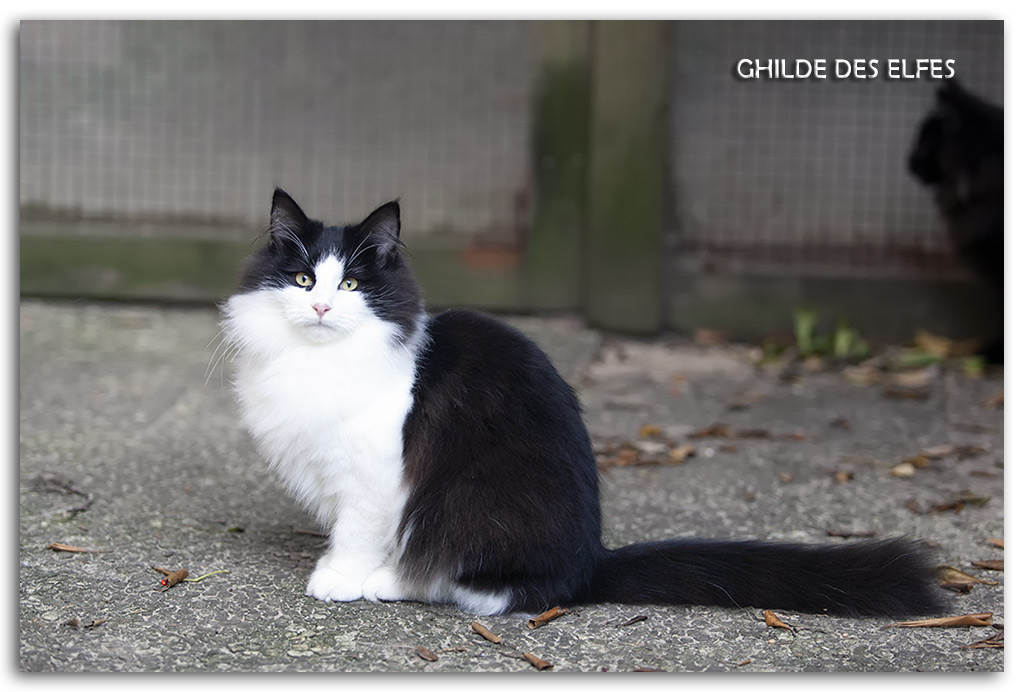 5.5mois1.jpg - 5.5 mois