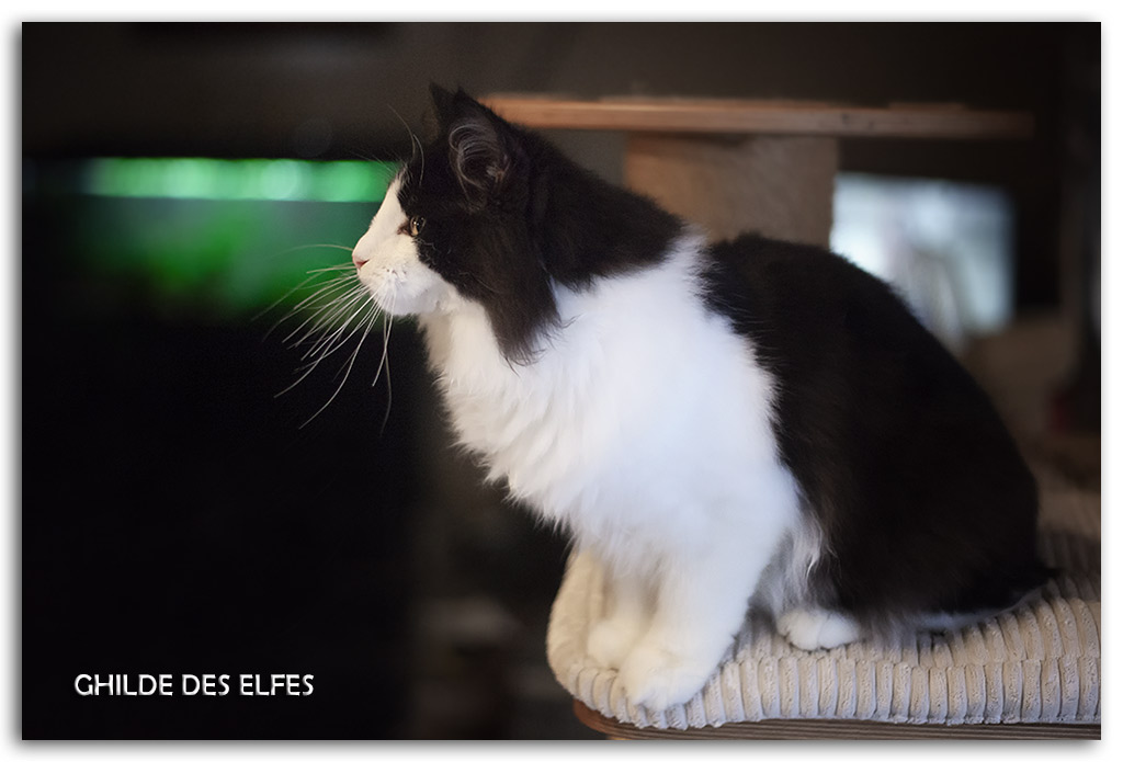 6-mois1.jpg - 6 mois