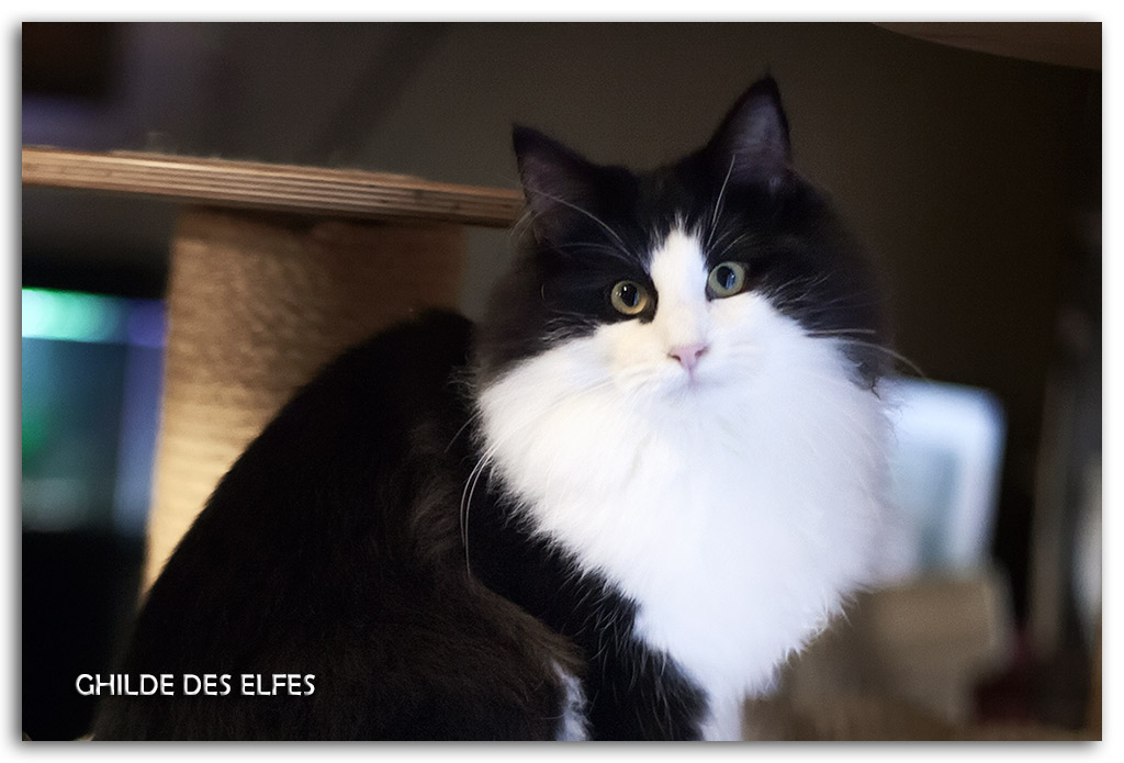 6-mois2.jpg - 6 mois