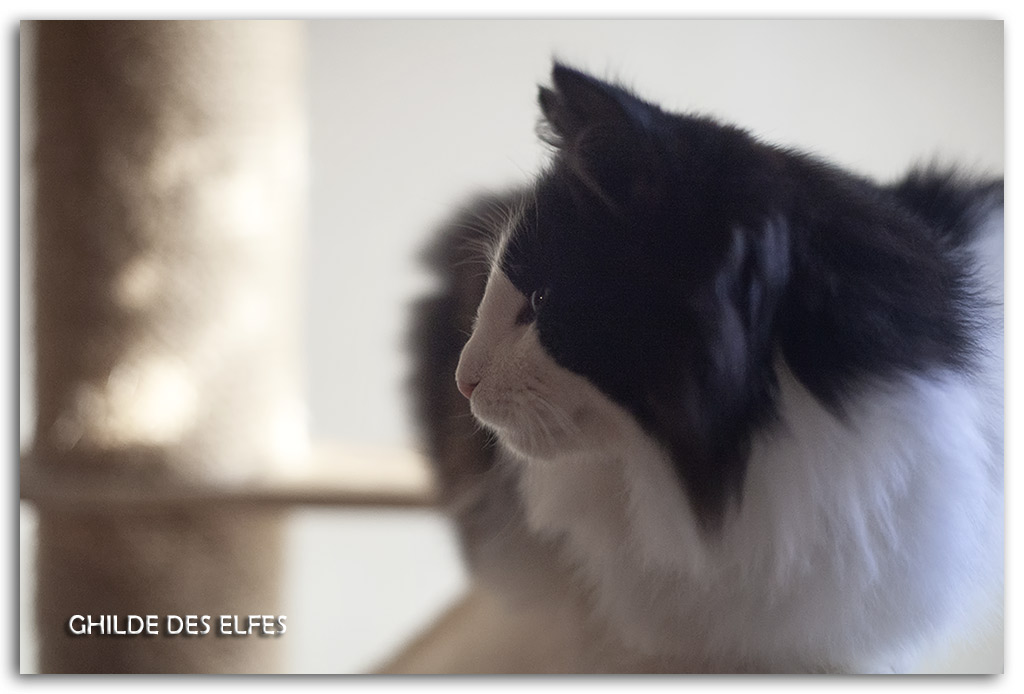 6-mois6.jpg - 6 mois