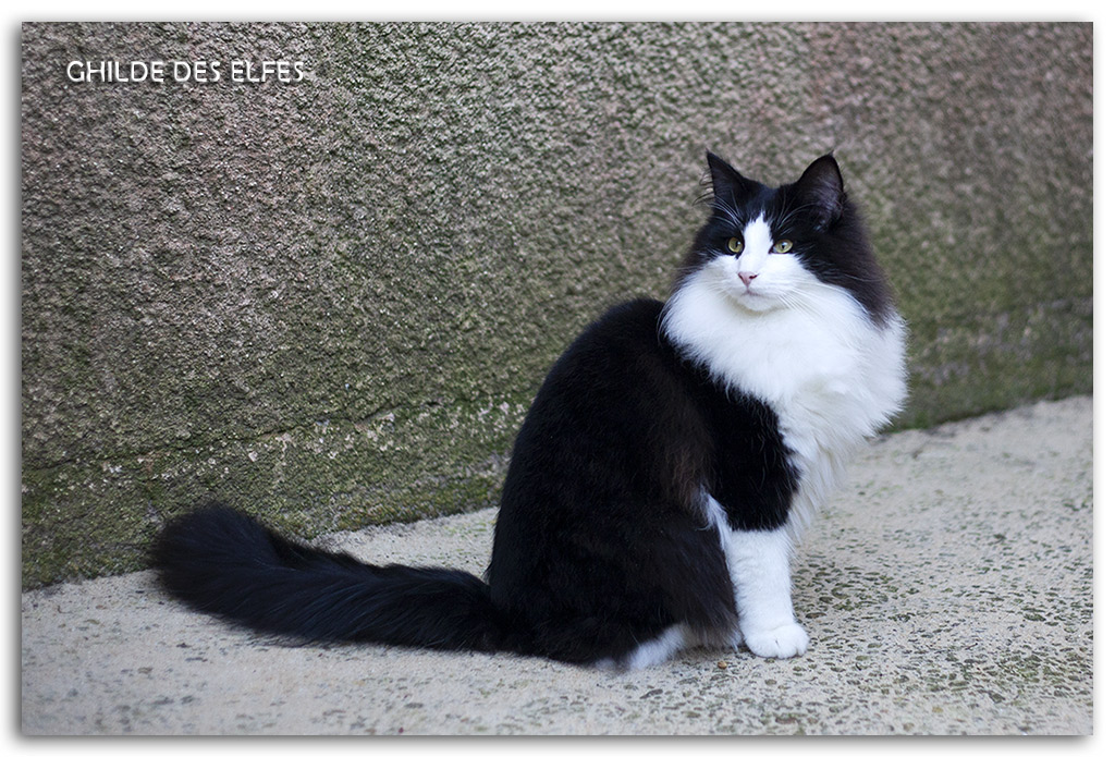 7.5-mois1.jpg - 7.5 mois