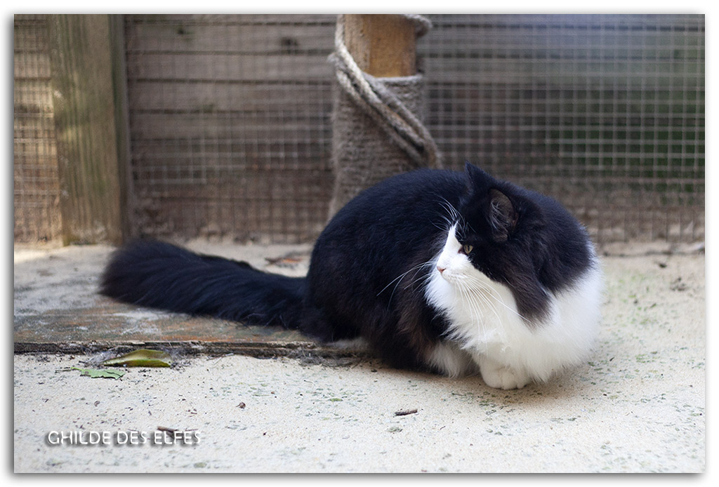 7.5-mois2.jpg - 7.5 mois