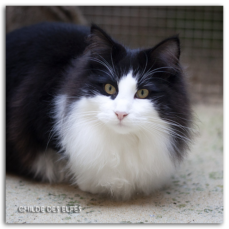 7.5-mois3.jpg - 7.5 mois
