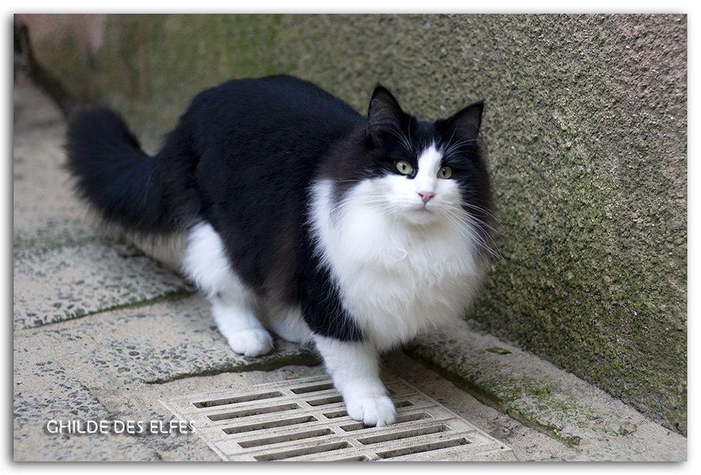 7.5-mois4.jpg - 7.5 mois