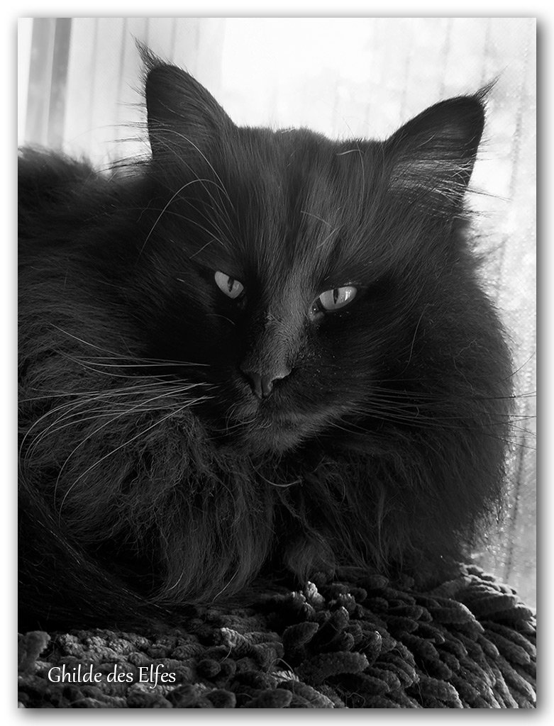 novak77.jpg - 5,5 ans