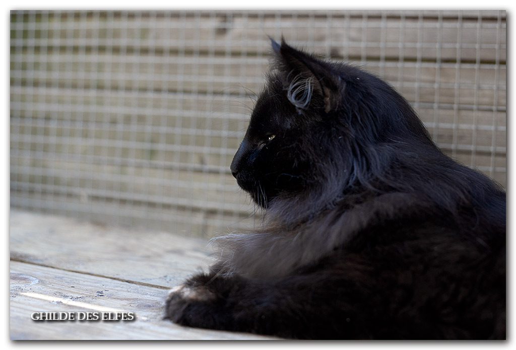 NOVAK16.jpg - 2 ans