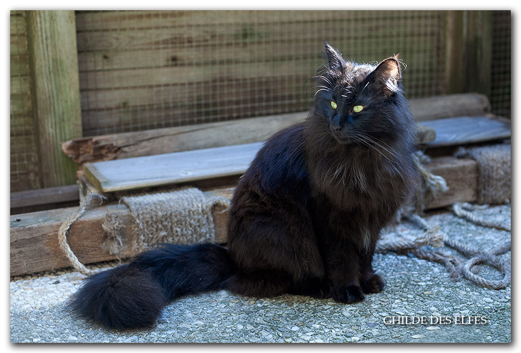 NOVAK19.jpg - 2 ans