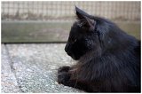 novak_14mois2