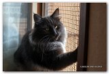 novak_16mois2