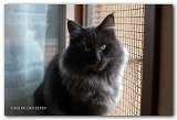 novak_16mois3