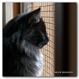 novak_16mois4
