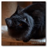 novak_16mois6
