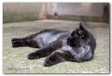 novak_16mois7