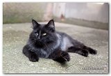 novak_16mois8