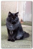novak_16mois9