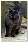 novak_17mois2