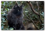 novak_17mois4
