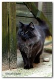 novak_17mois6
