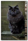 novak_17mois7