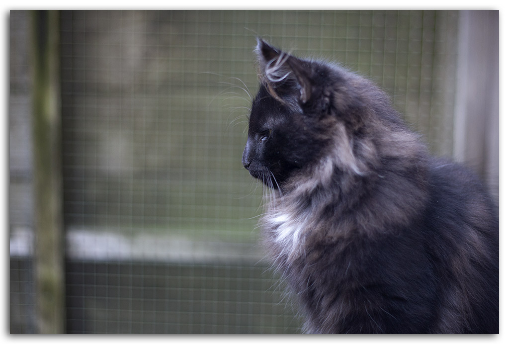4-mois1.jpg - 4 mois