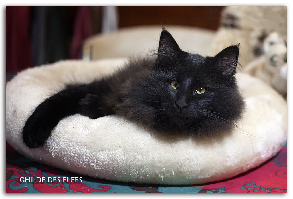 5.5mois11.jpg - 5,5 mois