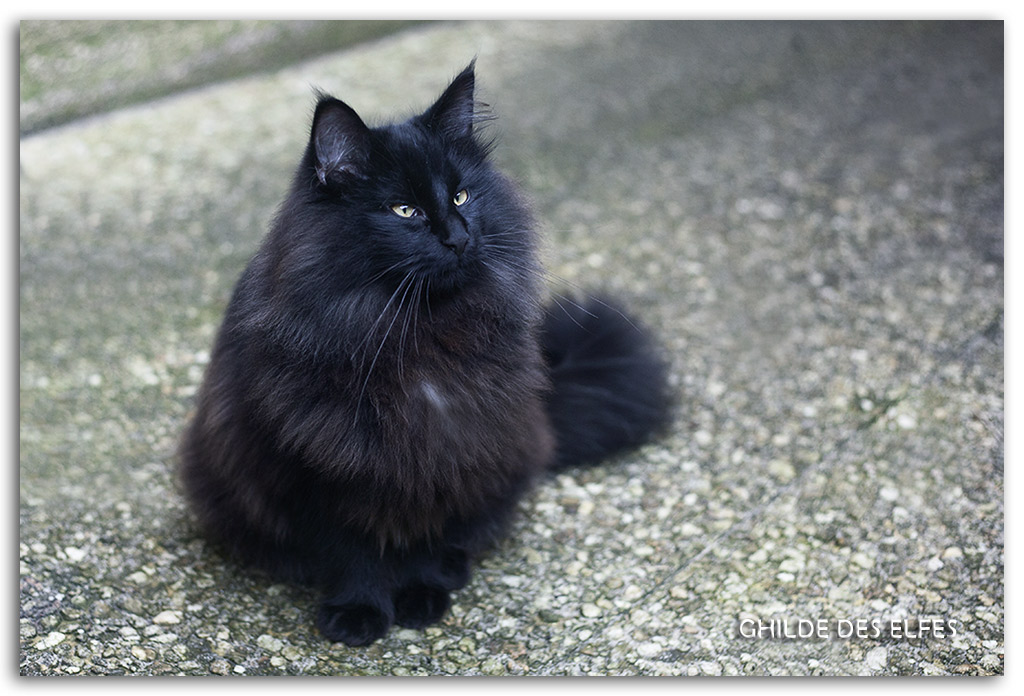 7-mois2.jpg - 7 mois
