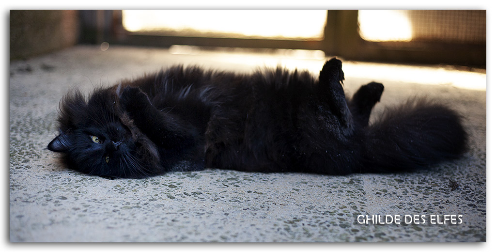 7.5-mois1.jpg - 7,5 mois