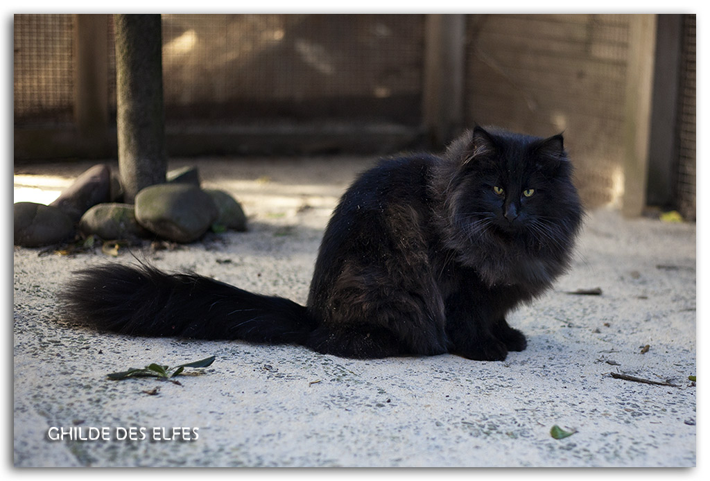 7.5-mois2.jpg - 7,5 mois